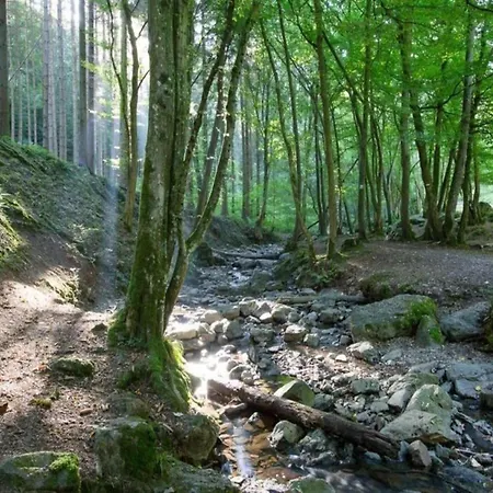 Glamping Tent In The Ardennes Διαμέρισμα *
