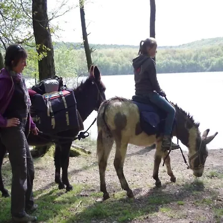 Διαμέρισμα Glamping Tent In The Ardennes