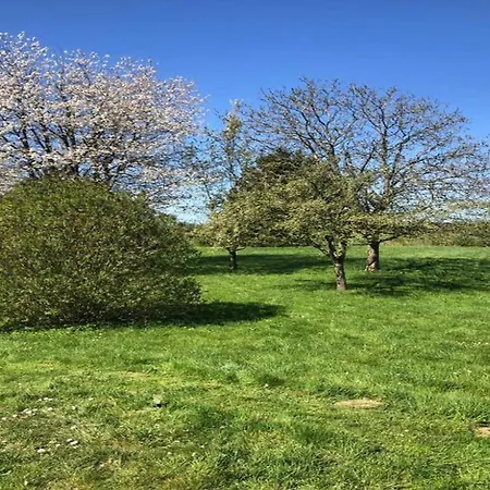 Glamping Tent In The Ardennes Διαμέρισμα *