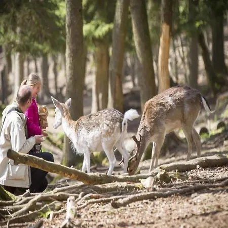 Glamping Tent In The Ardennes Διαμέρισμα Signy-lʼAbbaye