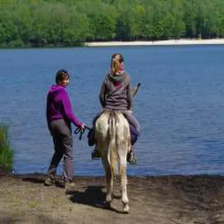 Διαμέρισμα Glamping Tent In The Ardennes