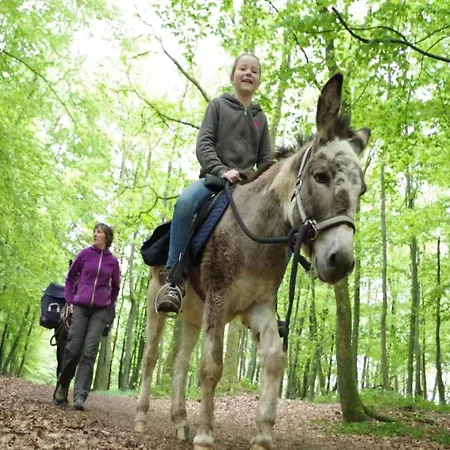 Glamping Tent In The Ardennes * Signy-lʼAbbaye